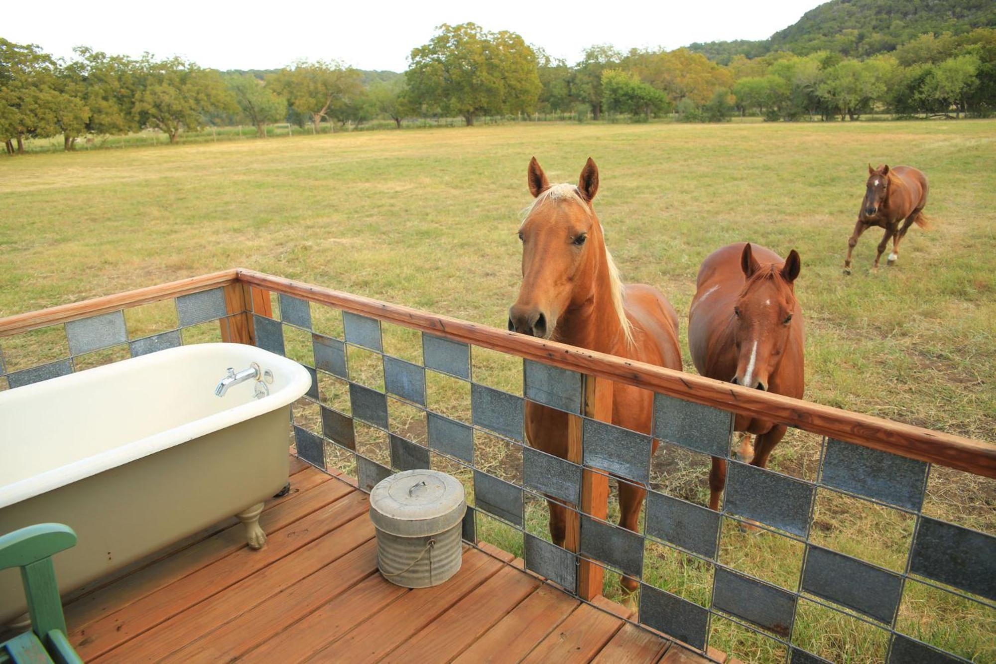 Montesino Ranch Lodging Villa Wimberley Exteriör bild