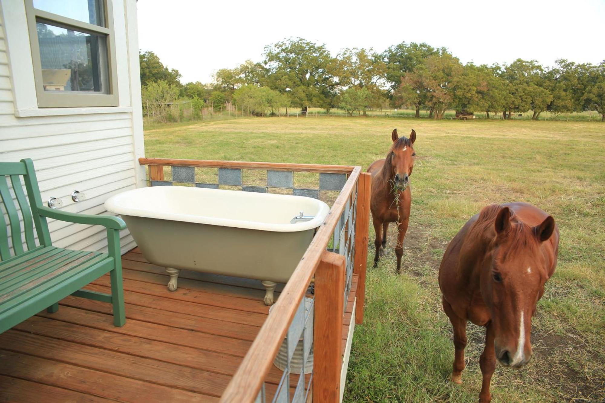Montesino Ranch Lodging Villa Wimberley Exteriör bild
